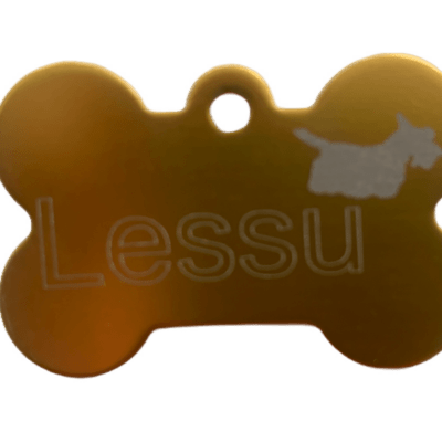 Kondikujuline Ripats