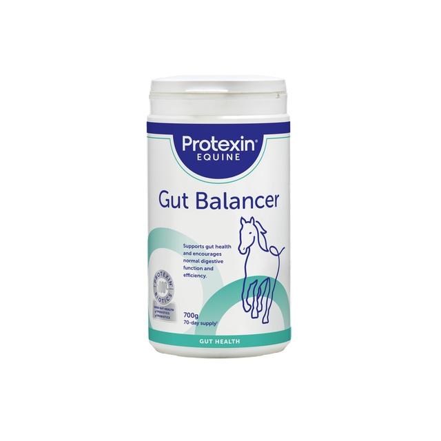 196560.jpg PROTEXIN GUT BALANCER 700G - Image 1