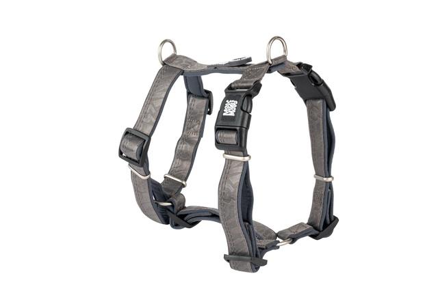 245723.jpg Max&Molly koera traksid Matrix 2.0 L, hall - Image 1