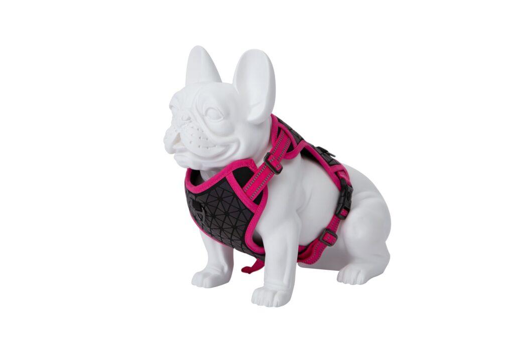 Freedog Boreal fuksiaroosad traksid koerale 15mm 34-63cm