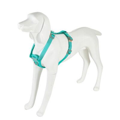 Freedog Saferide türkiissinised turvatraksid koerale M 25mm x 43/58cm