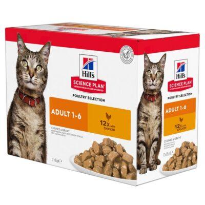 Hills kassi einekotike kana 85g 12tk