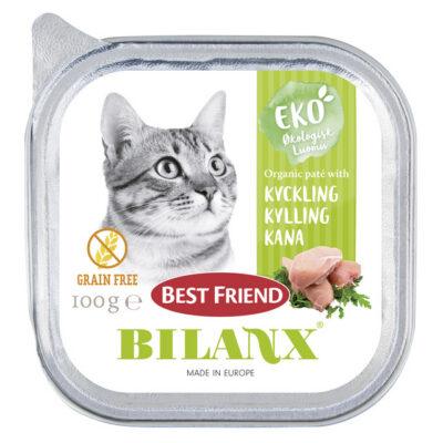 BF KASSI PASTEET BILANX ORGANIC KANA 100G N1