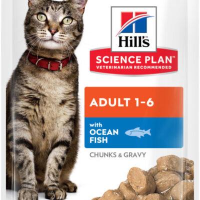Hills kassi einekotike ookeanikala 85g 12tk